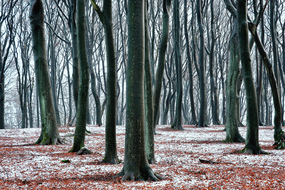 20. Winter