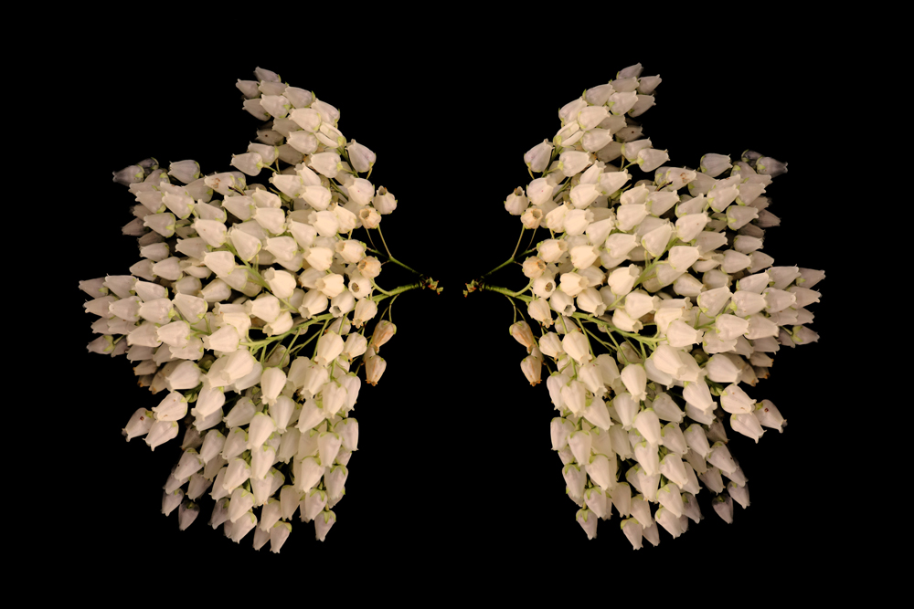 3. Breathing